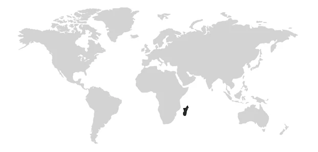 Country Madagascar