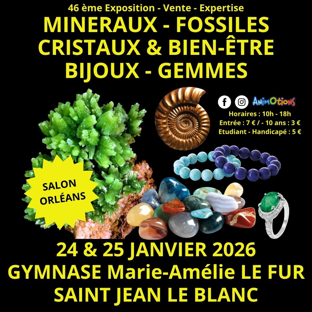 46ème Salon Minéraux Fossiles Gemmes