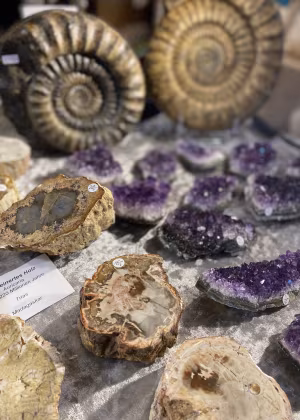 Beautiful Stones and Minerals 2026