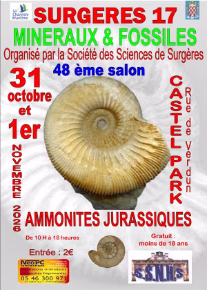 48th International Minerals & Fossils Exhibition
