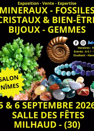 Minerals, Fossils, and Crystals Show
