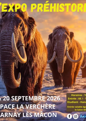 The Prehistoric Exhibition