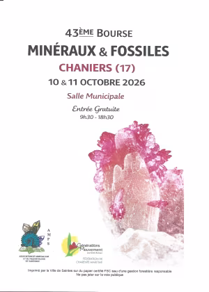 Minerals and Fossils for sale and exhibition