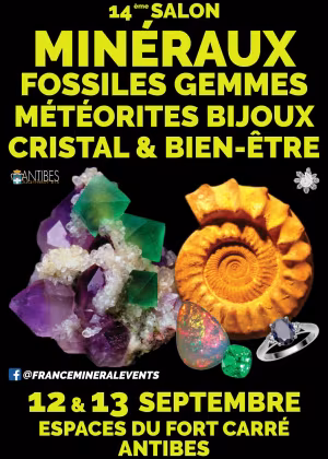 14th Antibes Mineral Show