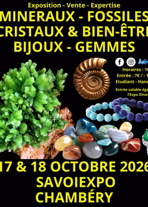 7th Minerals, Fossils, and Crystals Fair