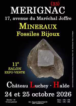 11th Minerals, Fossils and Jewelry Show