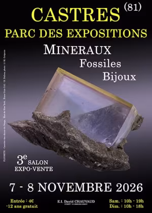 3rd CASTRES MINERAL, FOSSIL AND JEWELRY FAIR