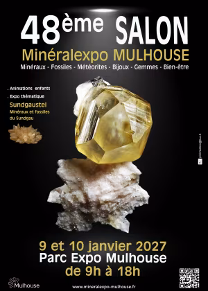 48th Mineralexpo-Mulhouse 2027 trade fair