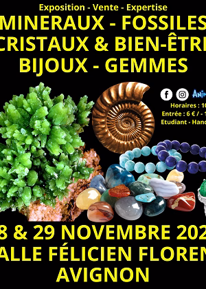 Minerals, Fossils, Crystals & Wellbeing Gems and Jewellery Fair