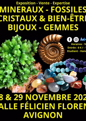 Minerals, Fossils, Crystals & Wellbeing Gems and Jewellery Fair