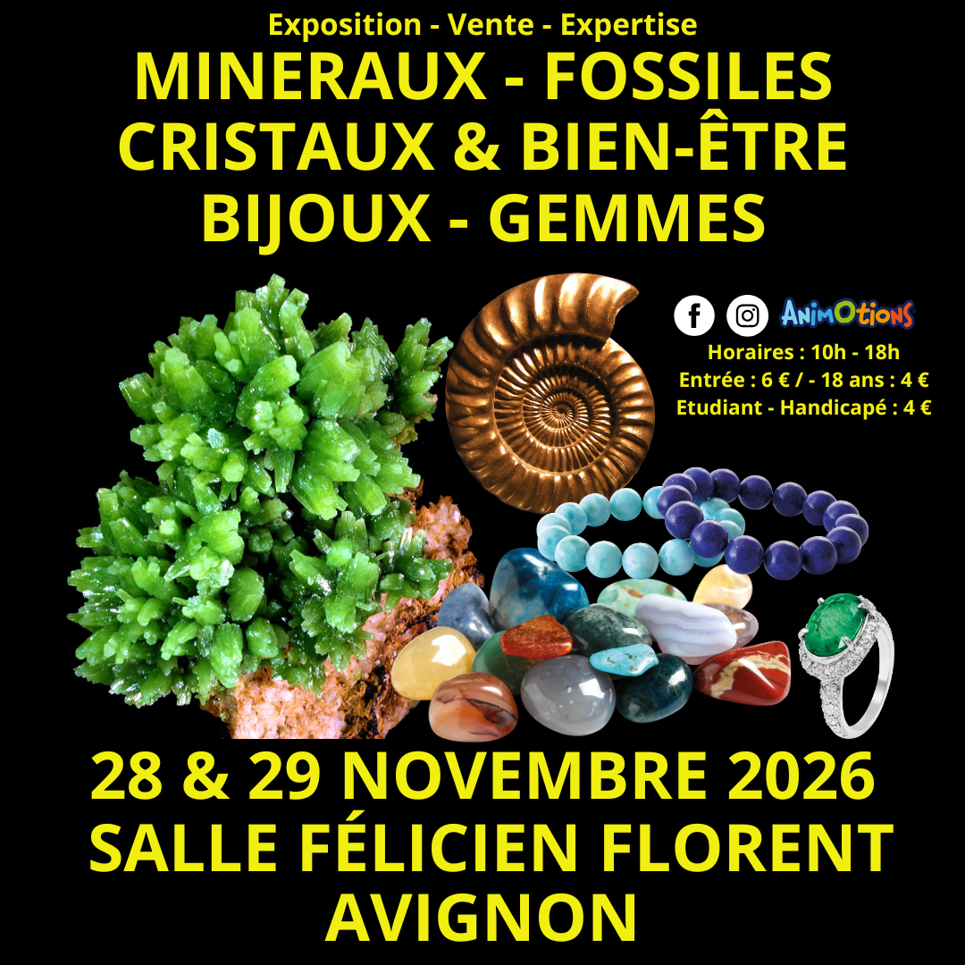Salon Minéraux Fossiles Cristaux & Bien-Être Gemmes et Bijoux