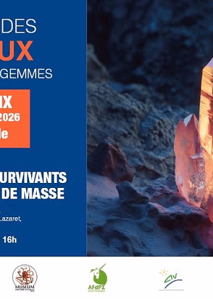 41st Minerals, Fossils and Gemstones Show