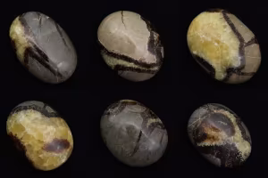 septarian pebble