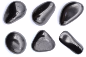 Shungites