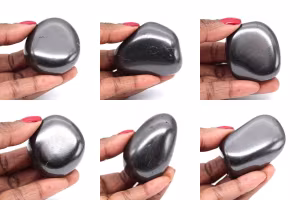 Shungites