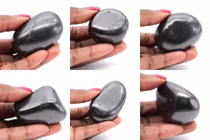 Shungites