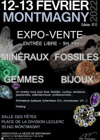 Expo-sale Fossil Minerals Jewelery