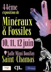 44th Minerals and Fossils Fair