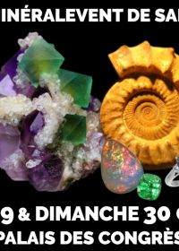 21st MinéralEvent Fair of Saint-Raphaël