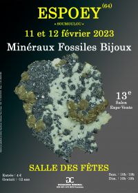 13th Fossil Minerals and Jewelery Fair