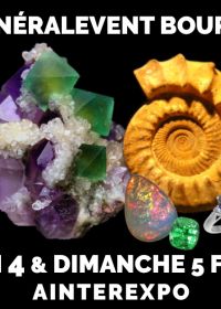 37th MineralEvent Bourg-en-Bresse