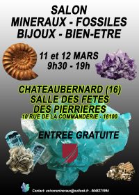Minerals, Fossils, Jewellery, Wellness Fair