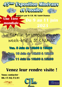 45th Minerals and Fossils Fair