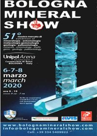 51st Bologna mineral show 2020