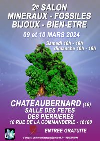 Minerals, fossils, designer jewelry and well-being fair.