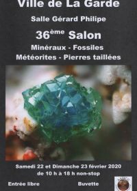 36th mineral and fossil exchange