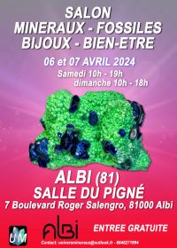 Minerals, fossils, designer jewelry and well-being fair.