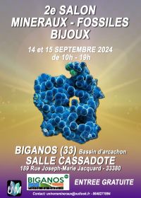 Minerals, Fossils, Designer Jewelry Show