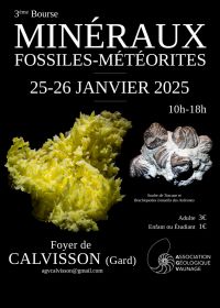 3rd fossil minerals and meteorites exchange