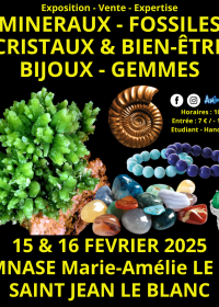 45th Minerals, Fossils, Crystals & Well-Being Jewelry and Gems Exhibition