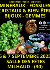Minerals, Fossils, Crystals & Well-Being Jewelry and Gems Fair in Nîmes