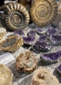 Beautiful stones and minerals 2025