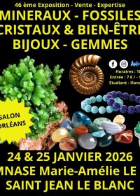46th Minerals, Fossils and Gems Fair