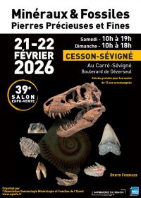 39th AGMFO Mineral Show