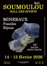 16th Minerals, Fossils and Jewelry Show