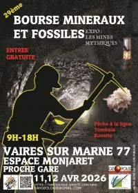 29th Mineral and Fossil Show