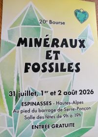 20th Mineral and Fossil Show