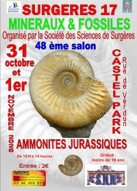 48th International Minerals & Fossils Exhibition
