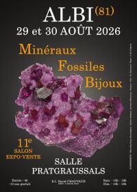 11th Minerals, Fossils and Jewelry Show