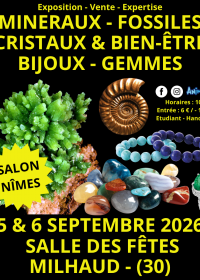 Minerals, Fossils, and Crystals Show