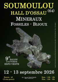 9th Minerals, Fossils and Jewelry Show