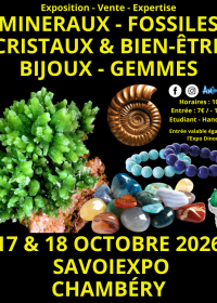 7th Minerals, Fossils, and Crystals Fair