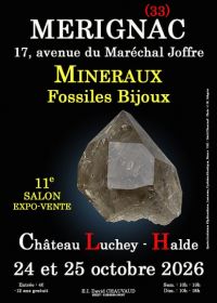 11th Minerals, Fossils and Jewelry Show