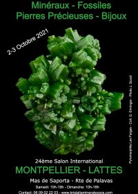 24th international fossil minerals jewelry fair