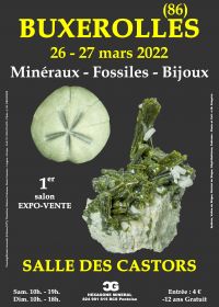 1st Fossil Minerals Jewelery Fair