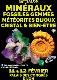29th Mineral Event Dijon